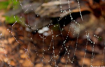 Kamu İletişimi ve Kurumsal İlişkiler