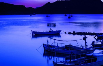 Aile Psikolojisi Gözüyle Kurumsallaşma ve Aile Anayasası