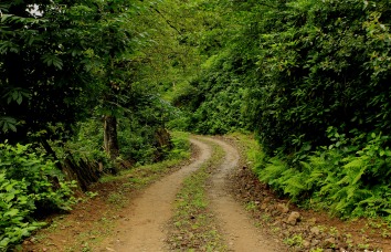 İş Yaşamında İsabetli Karar Alma Sanatı
